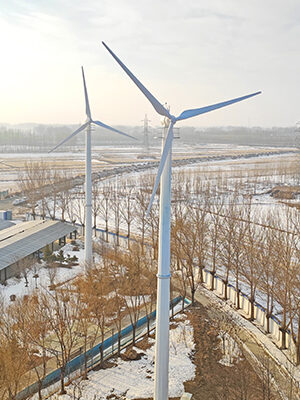 50kW 風(fēng)力發(fā)電機(jī)